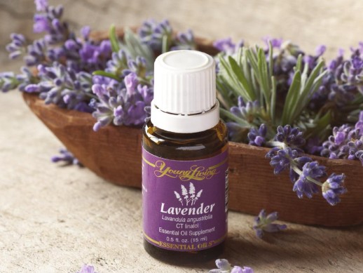 lavendel