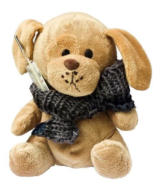 teddy-242878_640